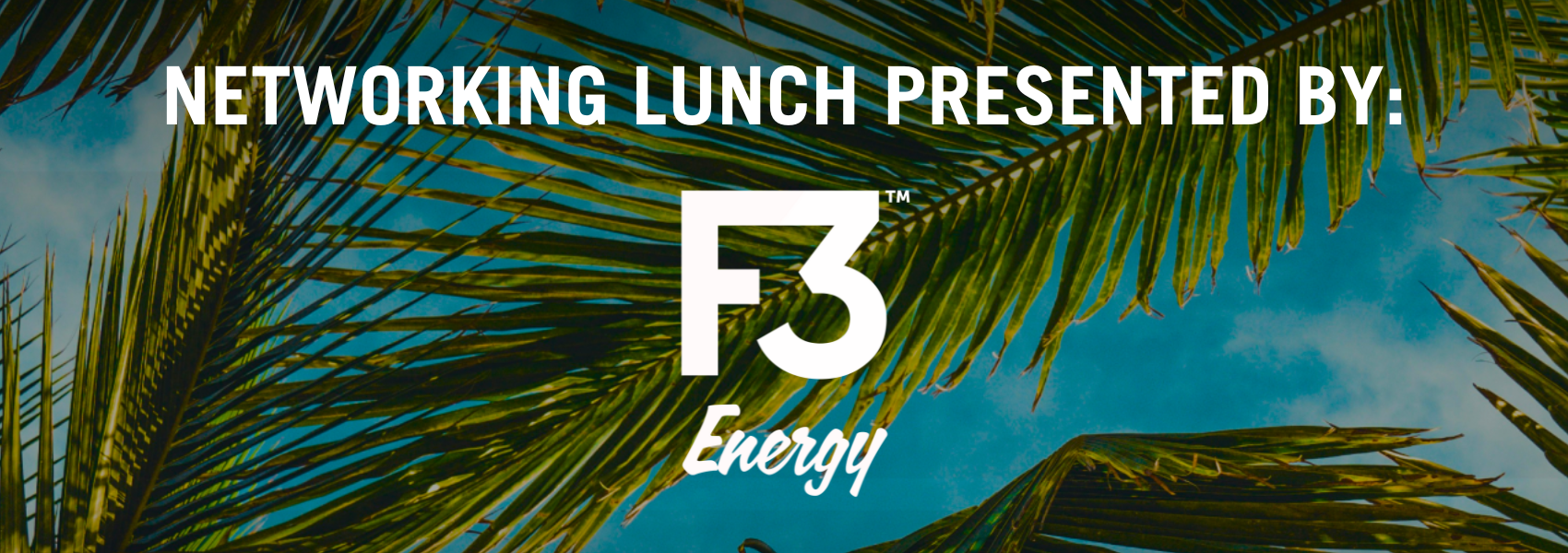 Networking Lunch Sponsored by: F3 Energy