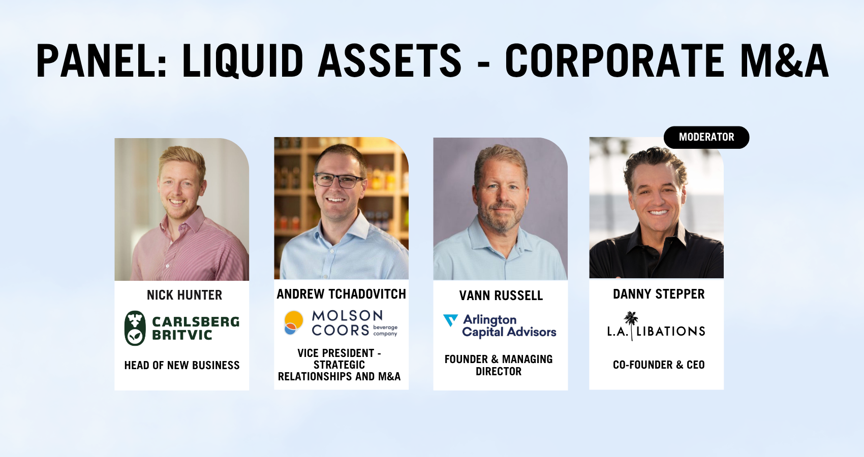 Panel: Liquid Assets Corporate M&A